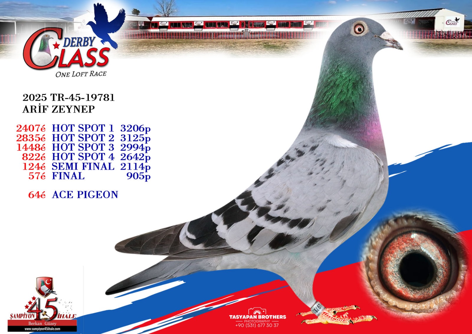 TR-45-19781 ARİF ZEYNEP 