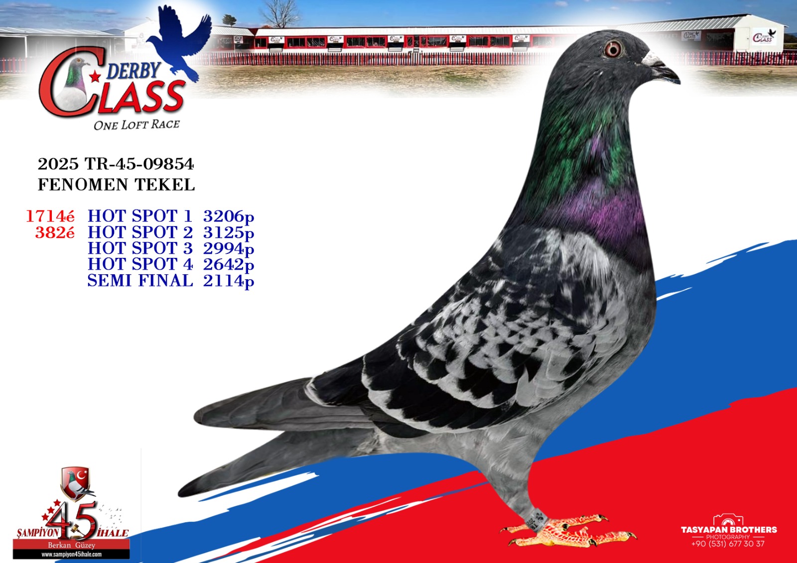 TR-45-09854 FENOMEN TEKEL