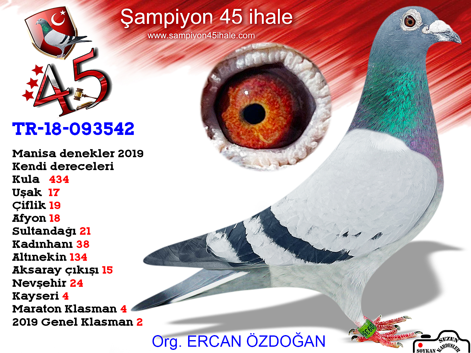 TR-18-093542 ERKEK 