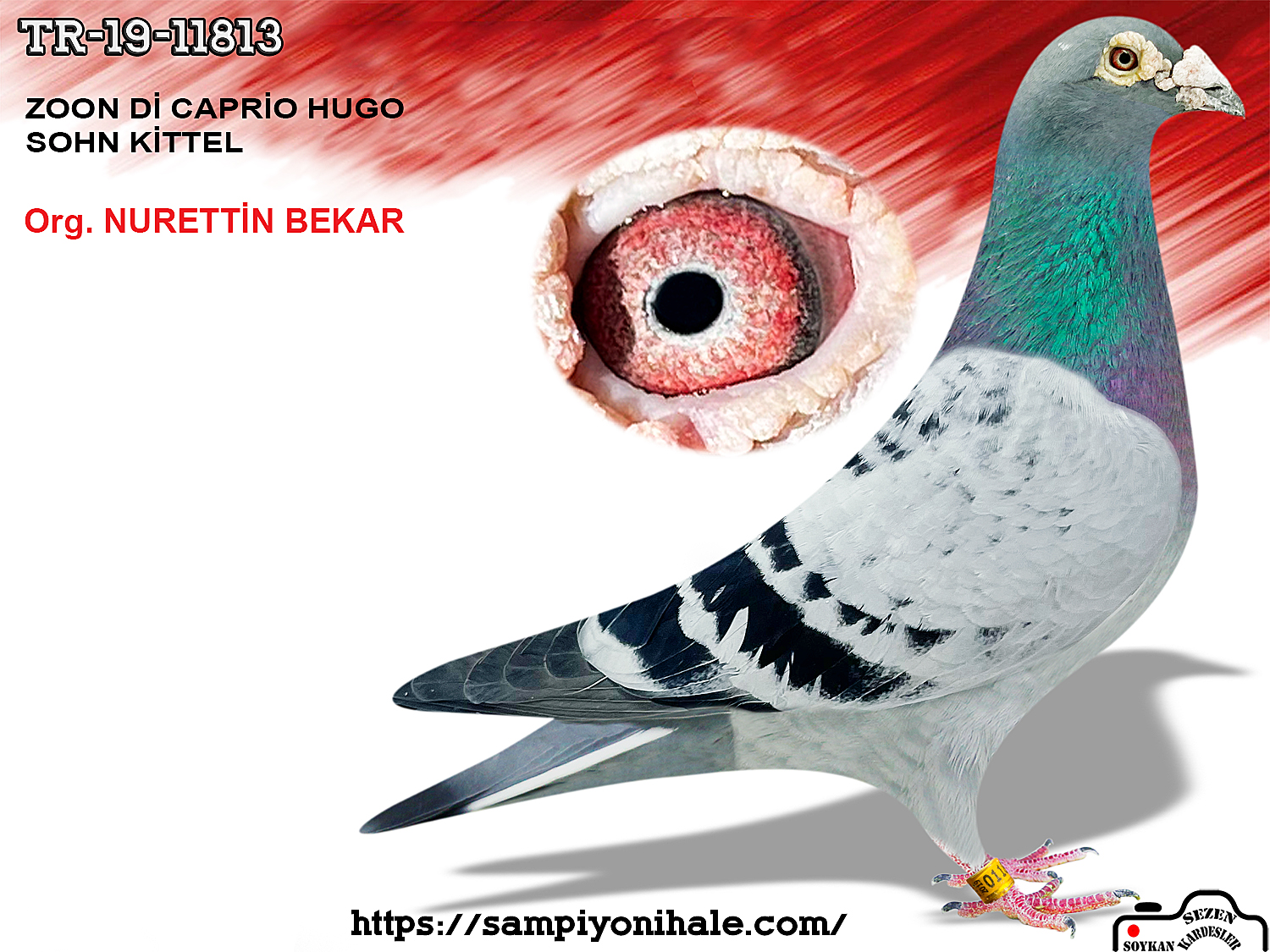 TR-19-11813 ZOON Dİ CAPRİO HUGO KİTTEL 