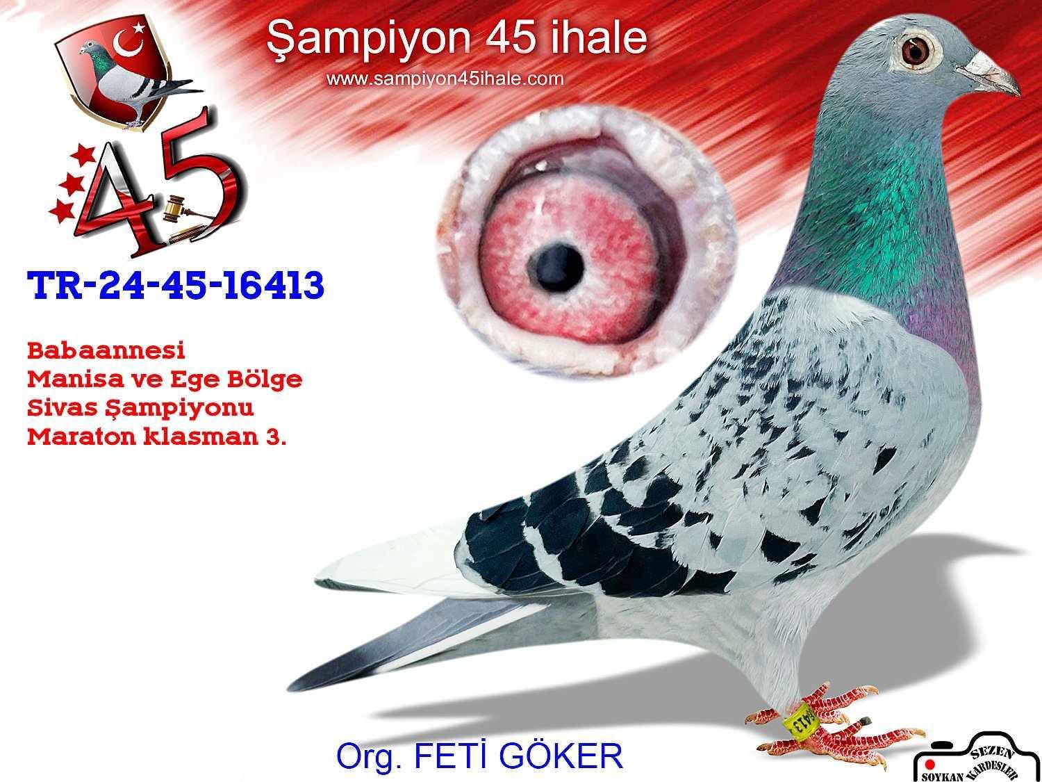 TR-24-45-16413 DİŞİ