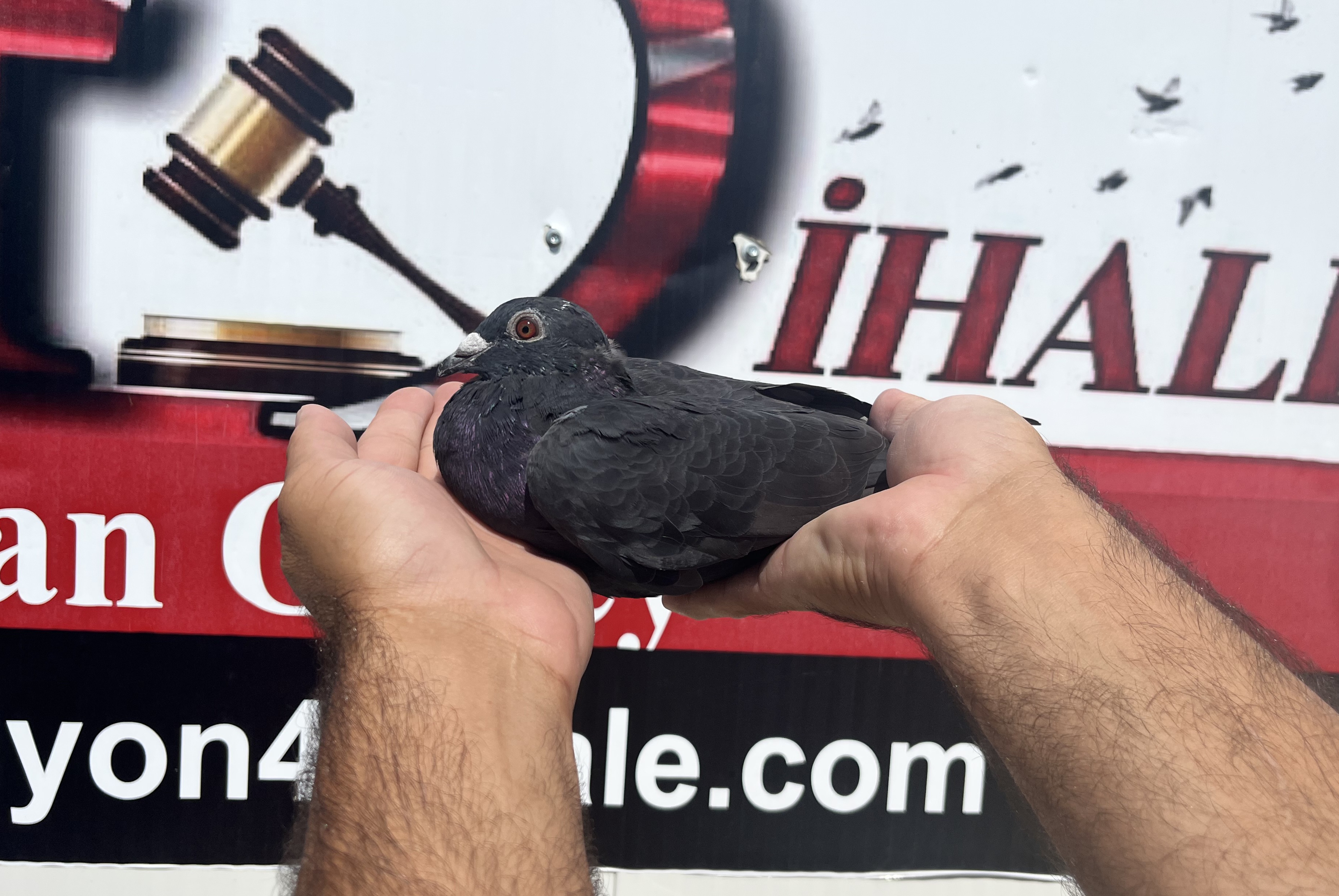 TR-45-15107 YUSUF EĞRİBOYUN 