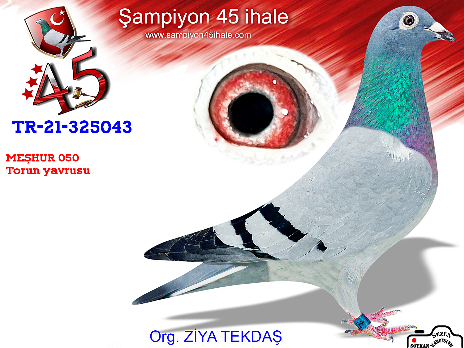 TR-21-325043 DİŞİ
