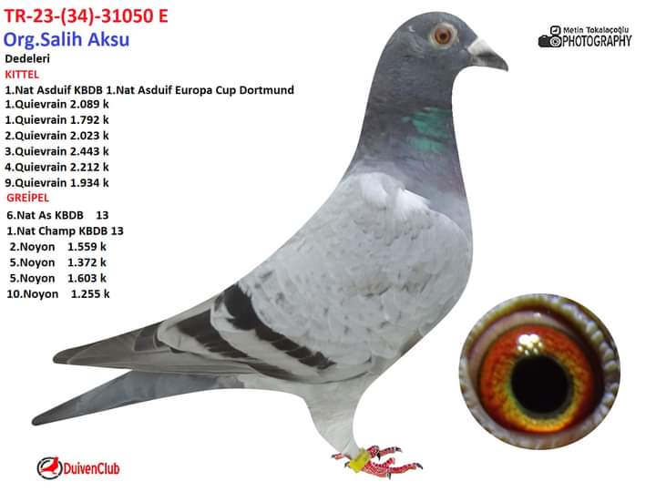 TR-23-34-31050 ERKEK 