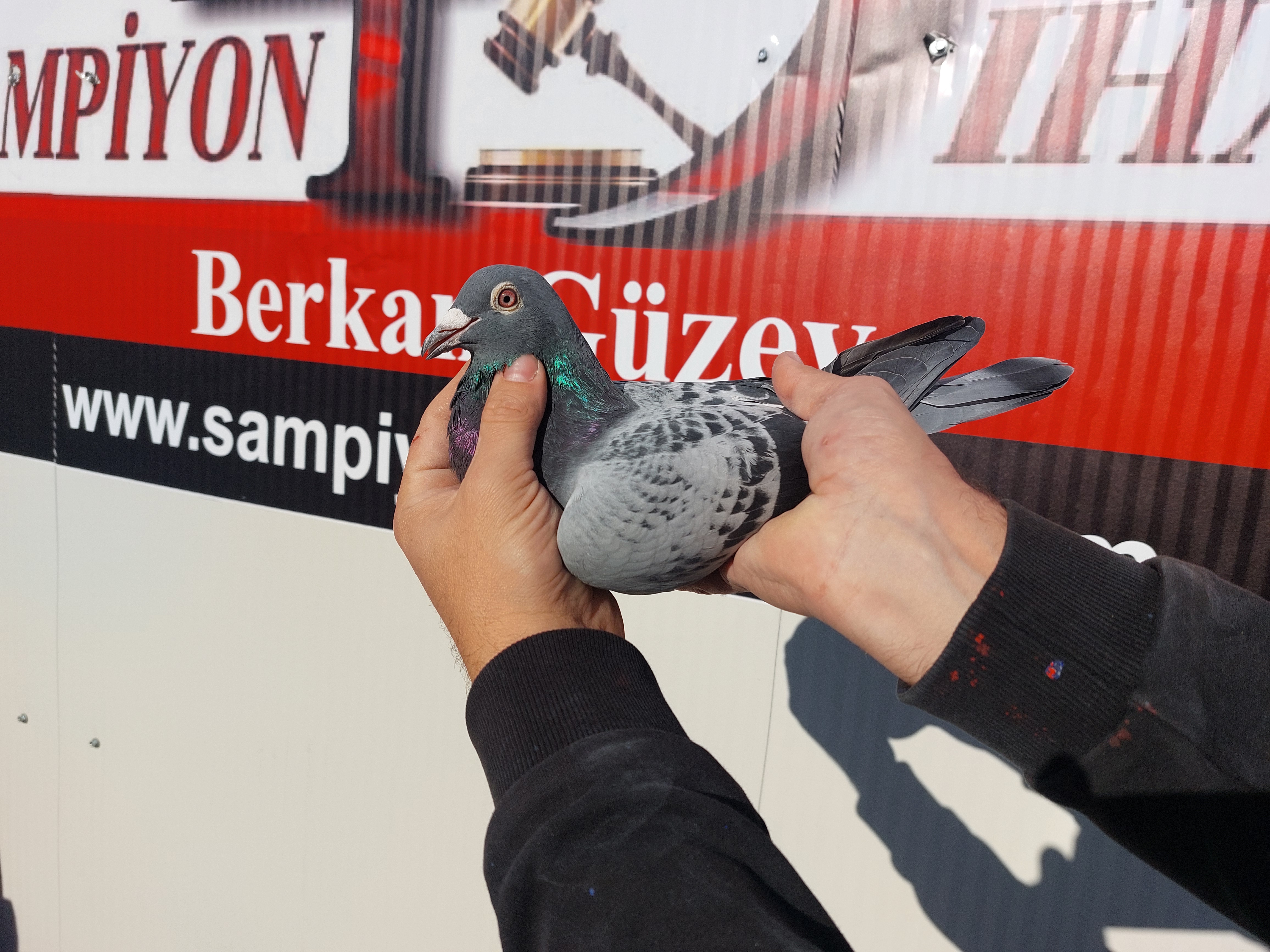 TR-22-59-3469 EKEK