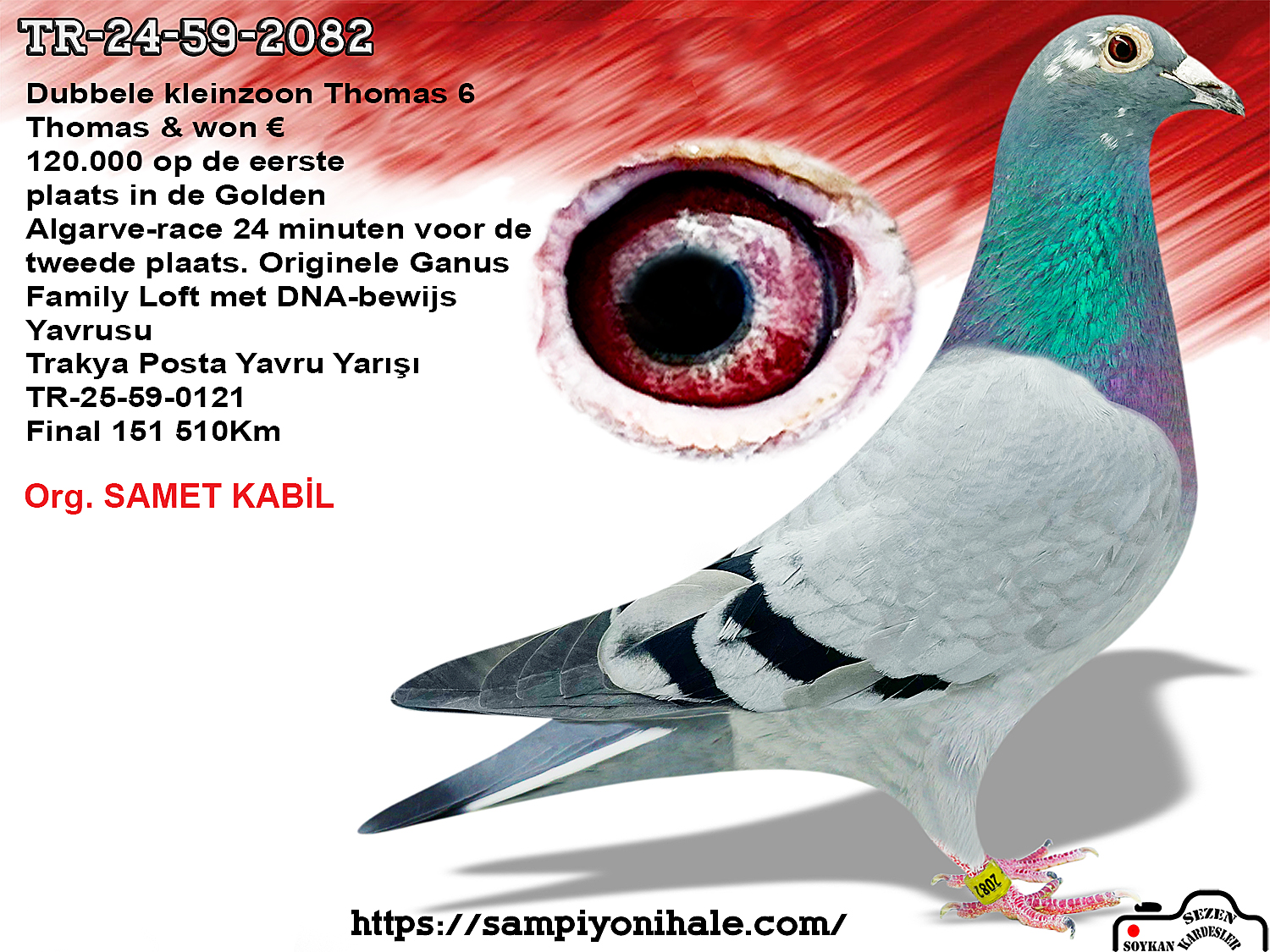 TR-24-59-2082 THOMAS 6 JÖRG HALLMANN 