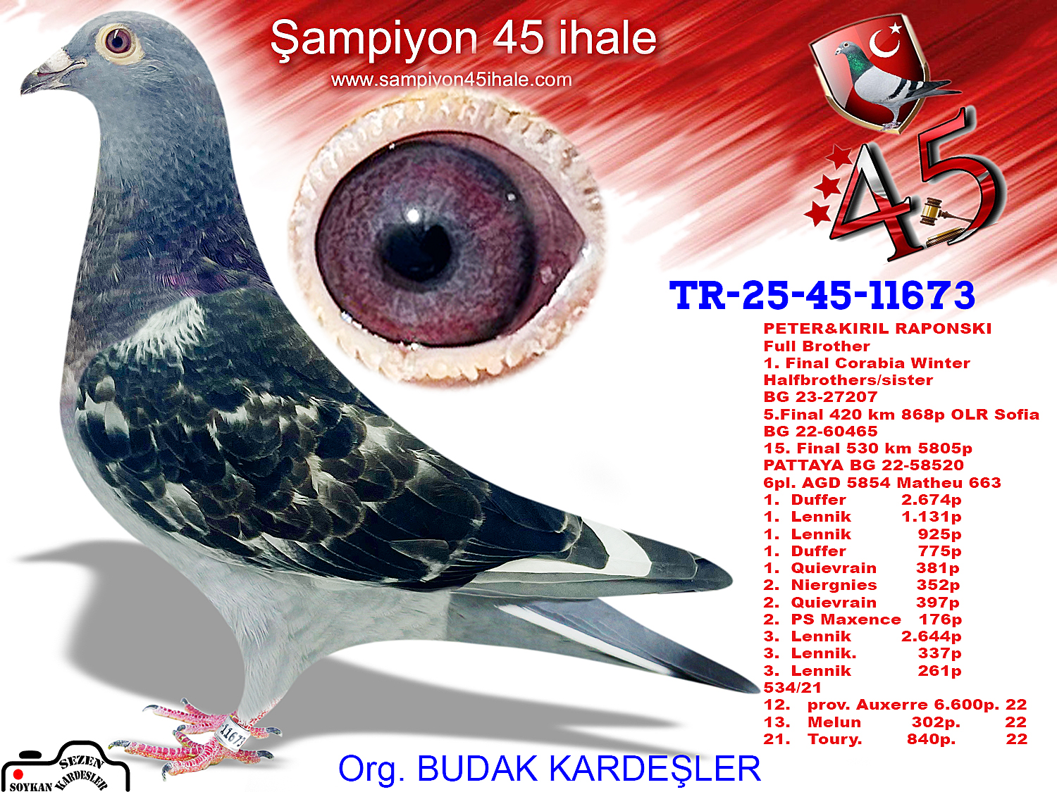 TR-25-45-11673 JULİA BLACK NIGHT PETER&KIRIL RAPONSKI