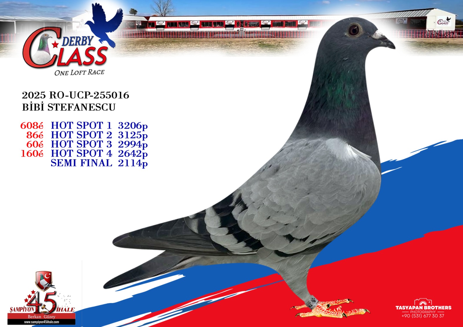 RO-UCP-255016 BİBİ STAFENASCU