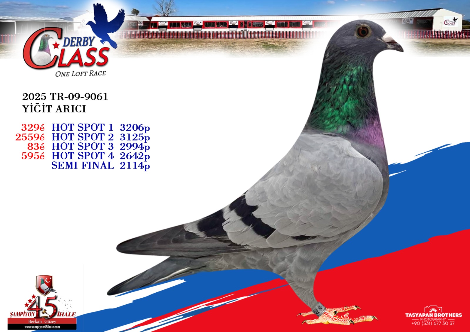 TR-09-9061 YİĞİT ARICI