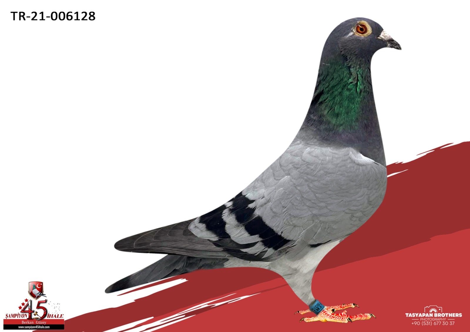 TR-21-6128 HURİCAN 51 FİENEKE 5000