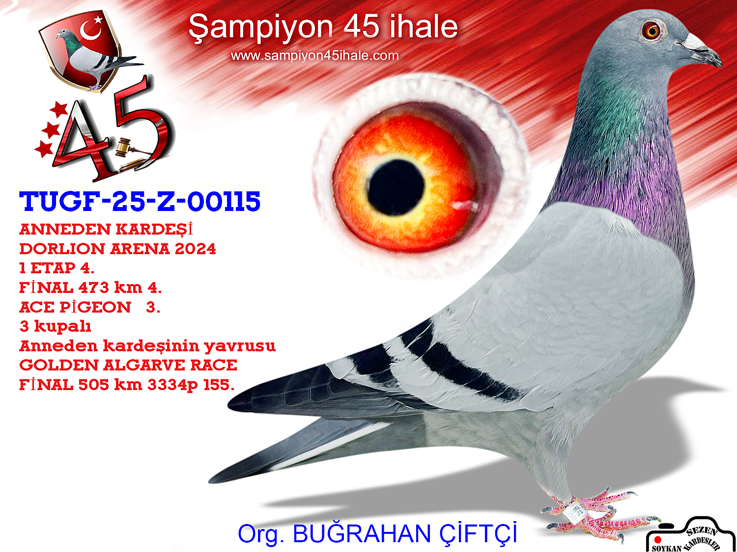 TUGF-Z-00115 SG STEFFL HARDY KRÜGER 