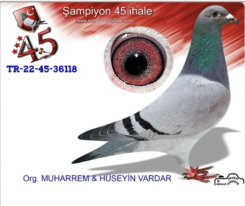 TR-22-45-36118 VARDAR KARDEŞLER MARATON DEVİ