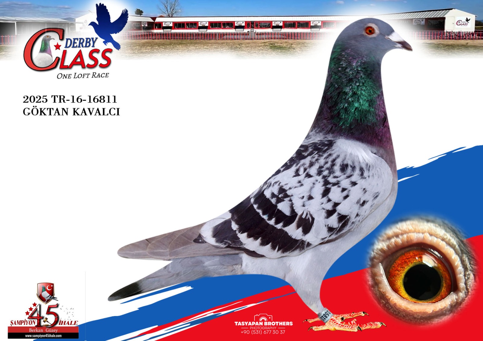 TR-16-16811 GÖKTAN KAVALCI