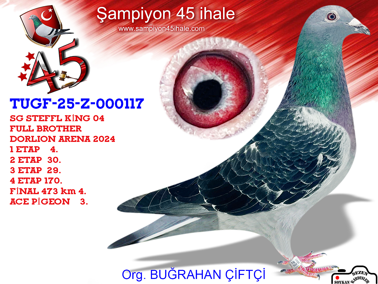 TUGF-Z-00117 SG STEFFL HARDY KRÜGER 