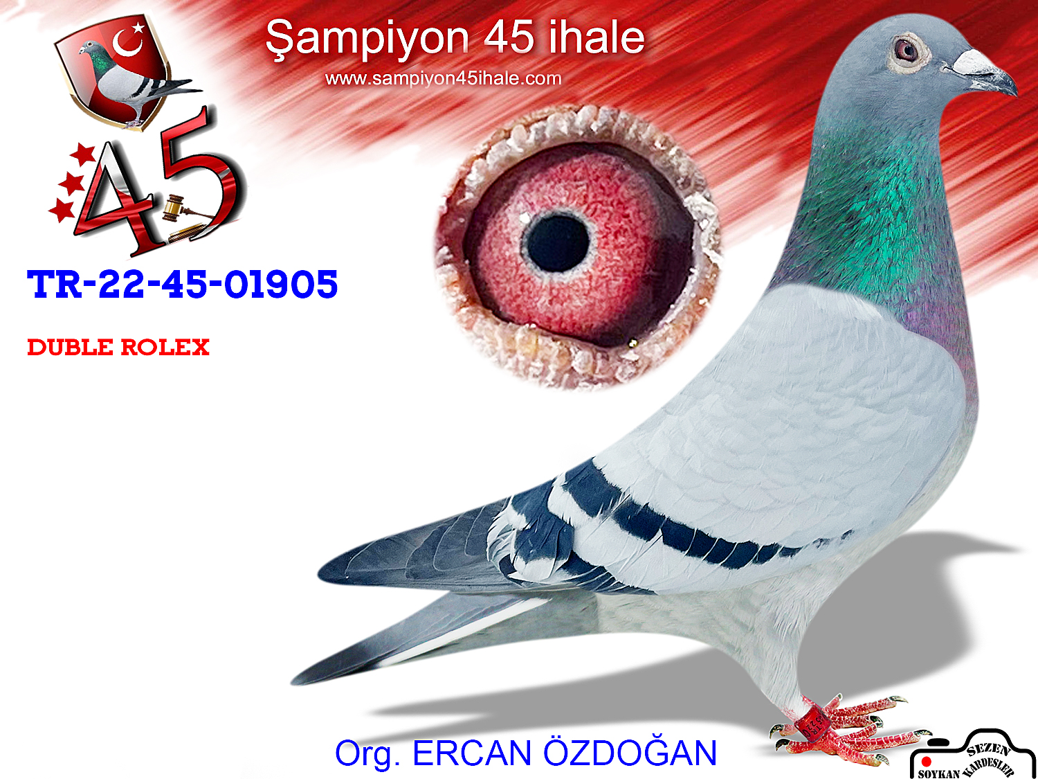 TR-22-45-01905 DİŞİ