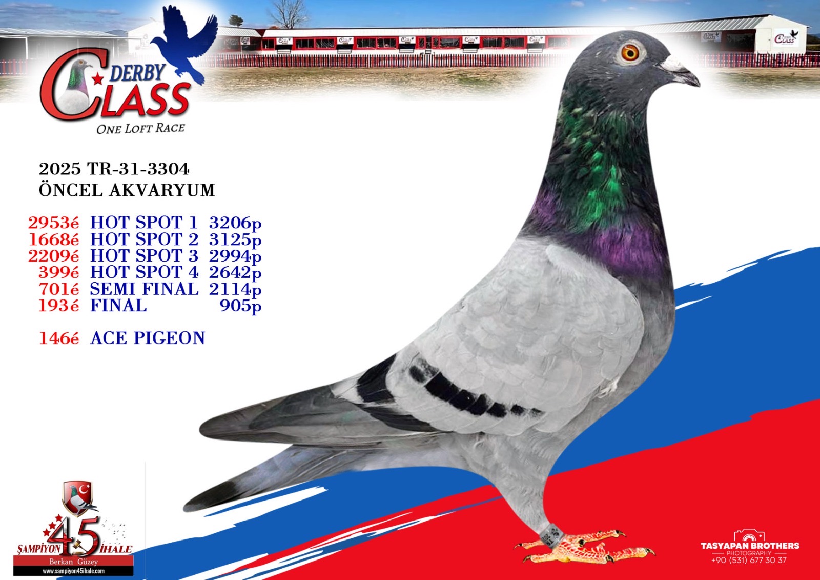 TR-31-3304 ÖNCEL AKVARYUM 