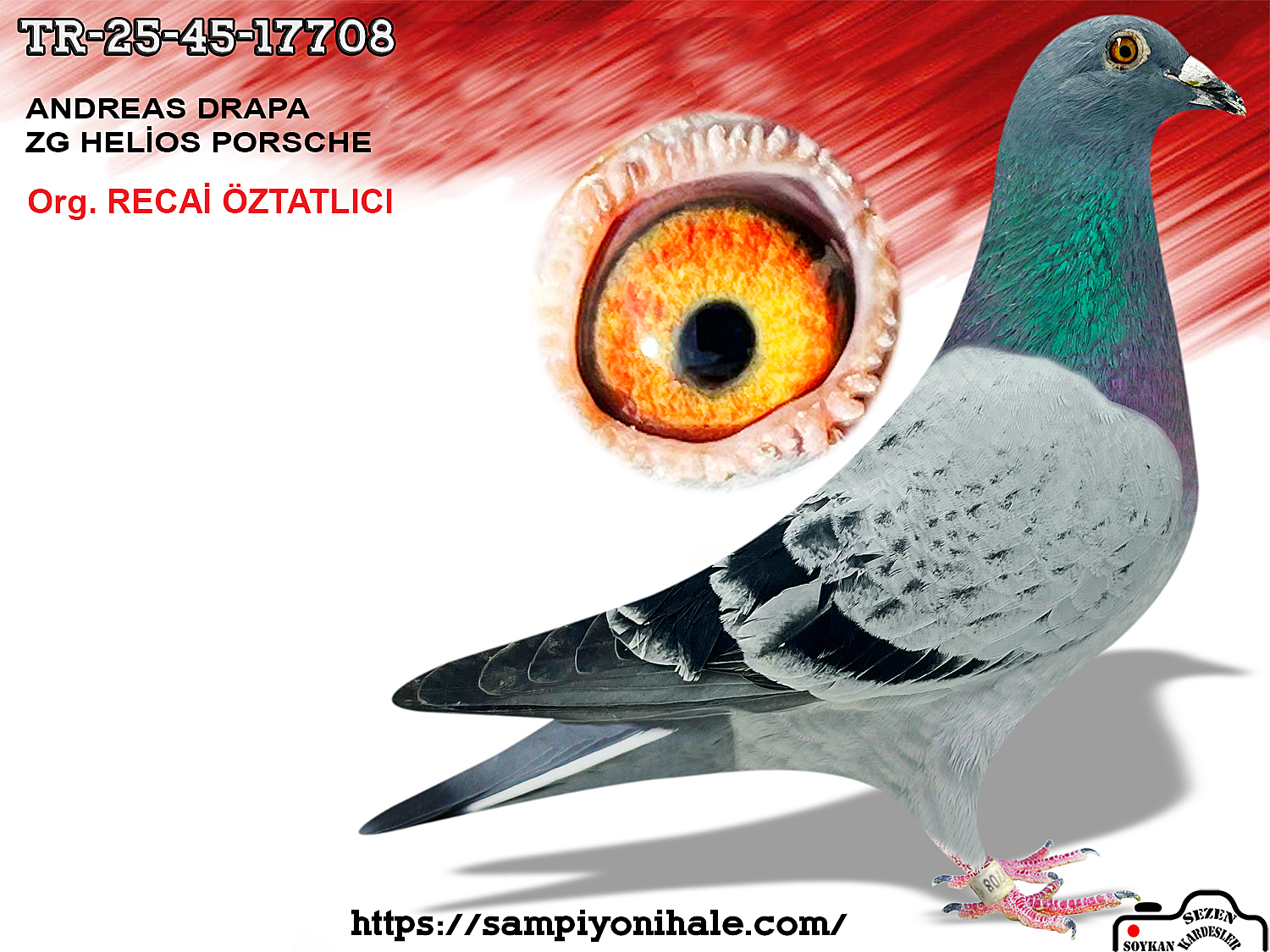 TR-25-45-17708 ANDREAS DRAPA ZG HELİOS 