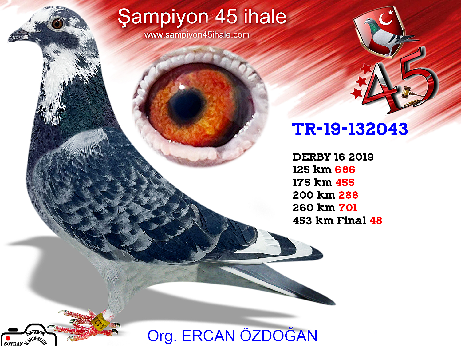 TR19-132043 ERKEK