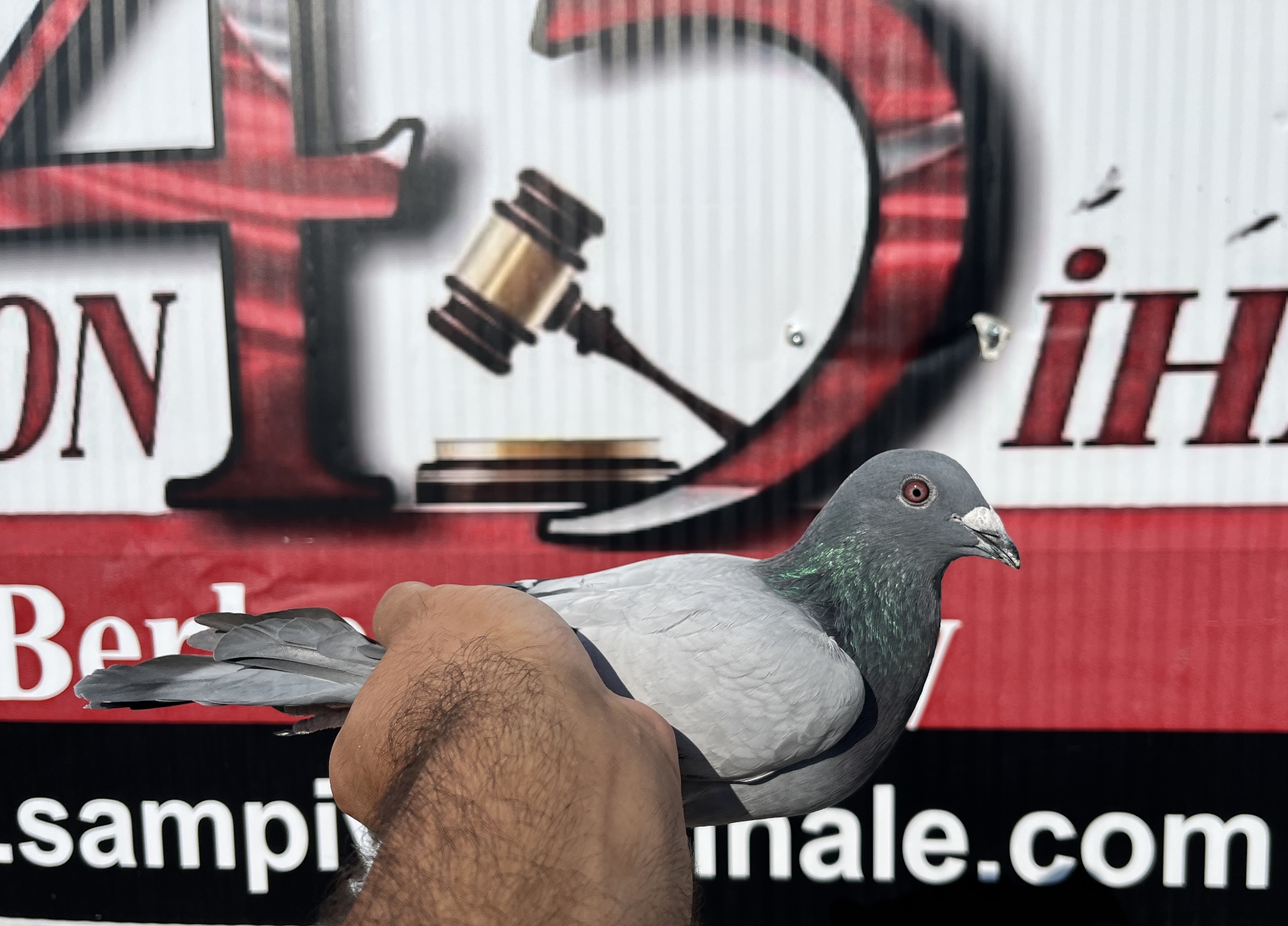 TR-16-20358 Zdenek PAVLİK Dimitar Todorov