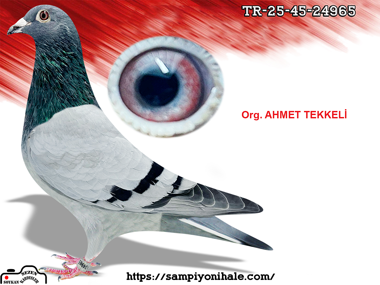 TR-25-45-24965 ORG AHMET TEKKELİ 