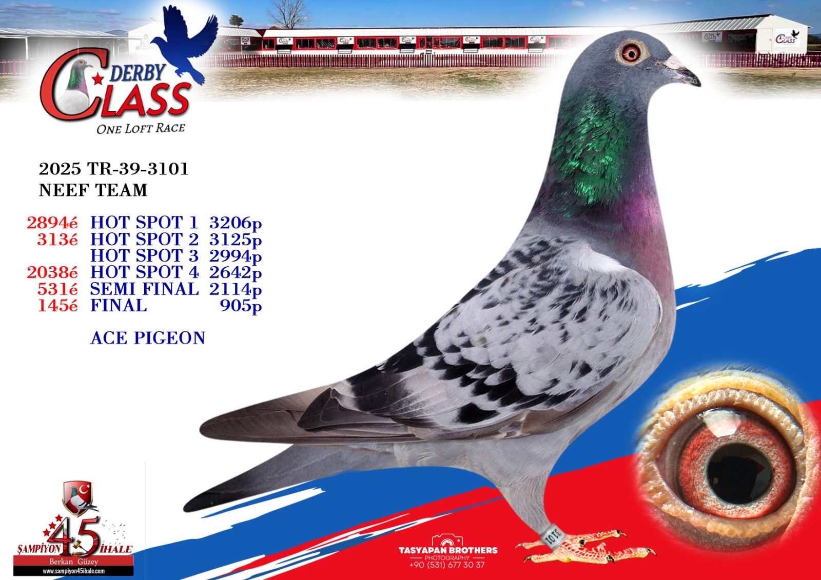 TR-39-3101 NEEF TEAM