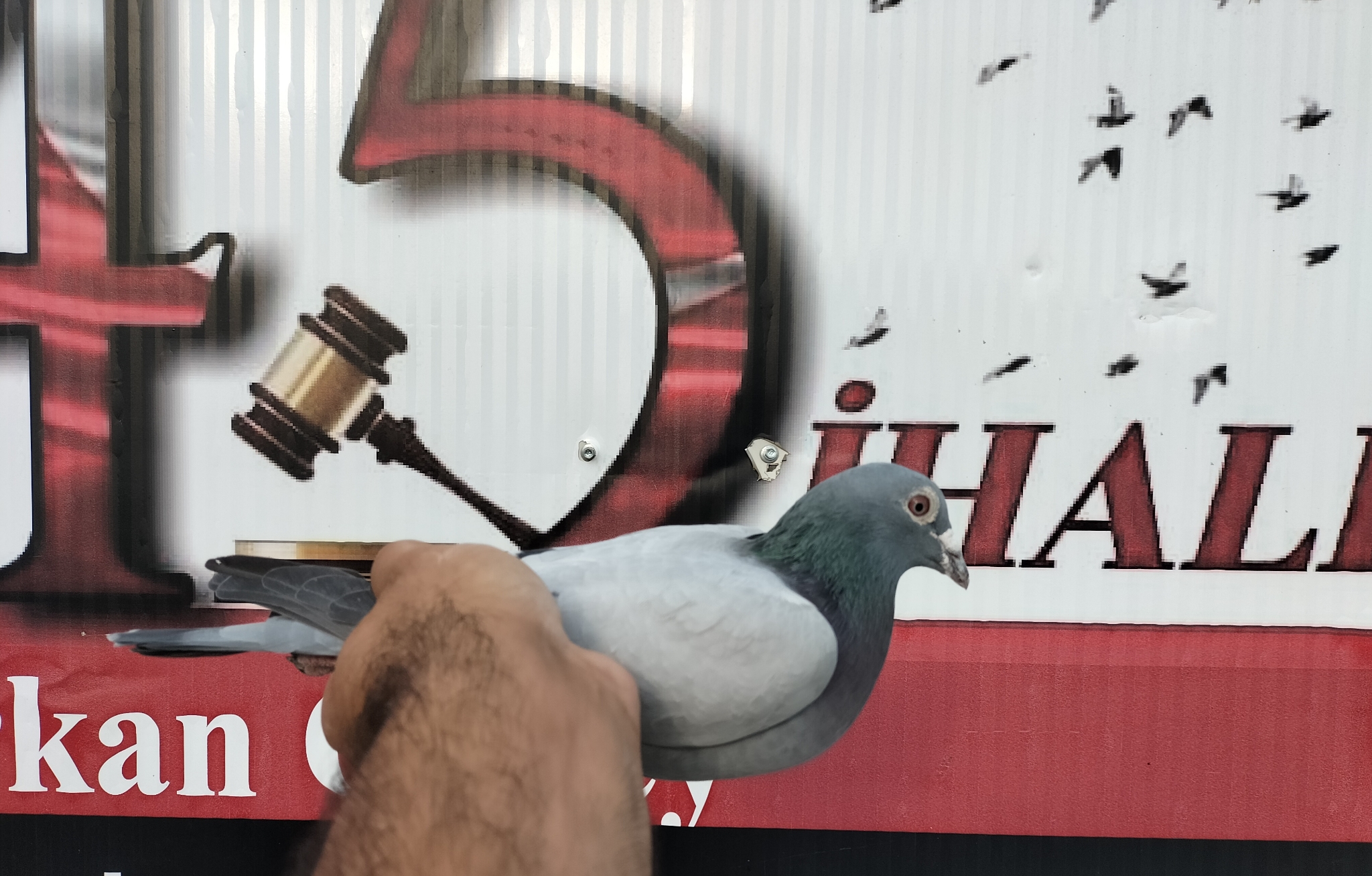 TR-21-223831 JANSEEN KOOPMAN 