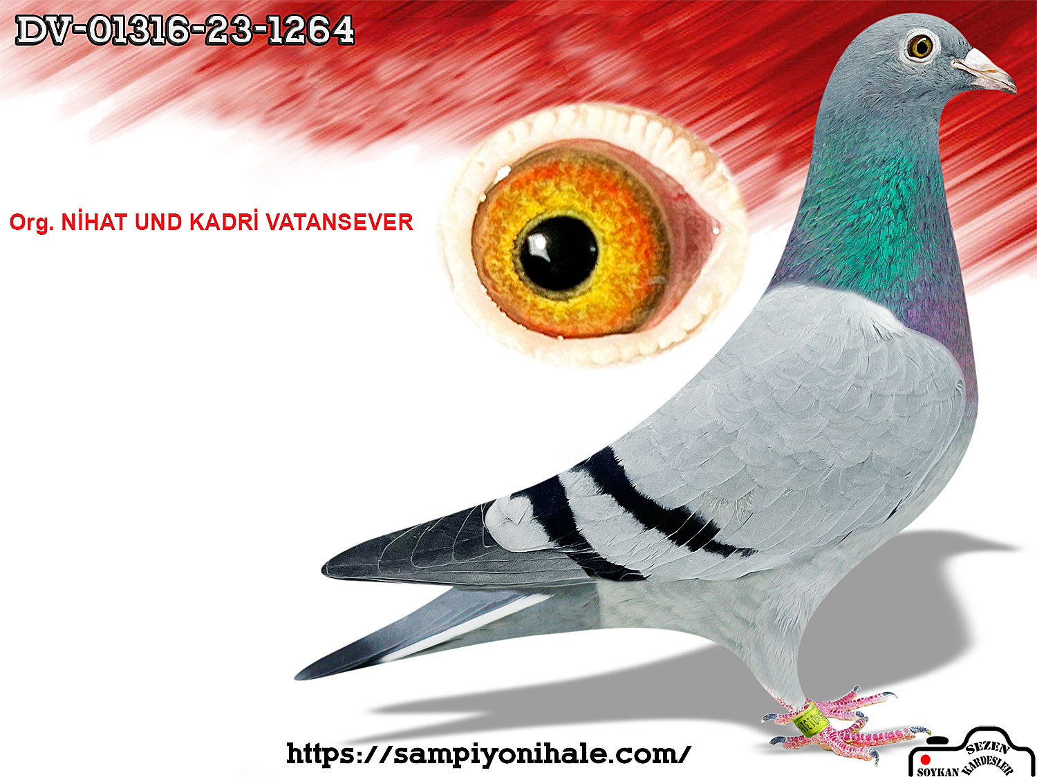 DV-01316-23-1264 ORG NİHAT UND KADRİ VATANSEVER 