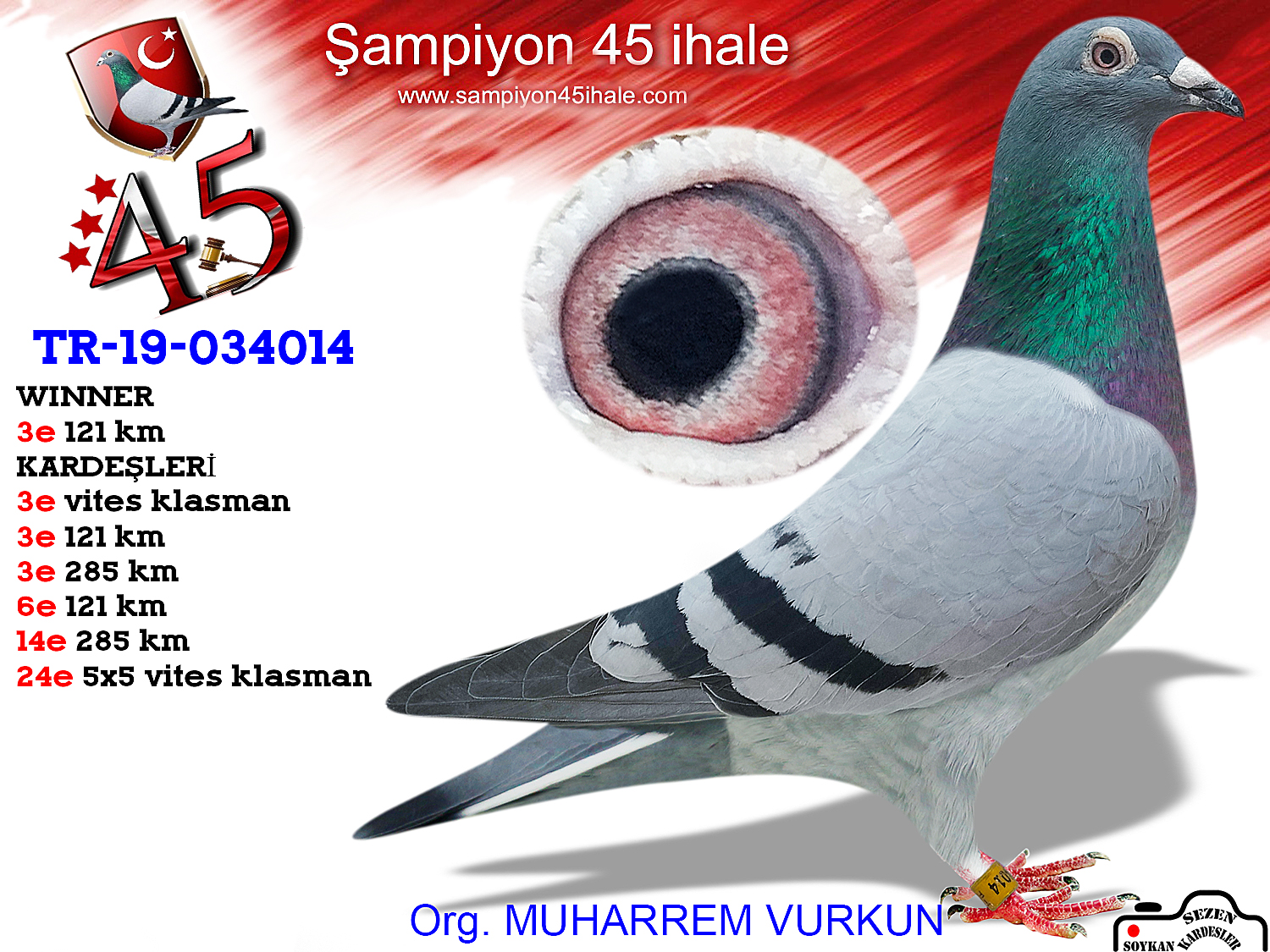 TR-19-0340014 DİŞİ