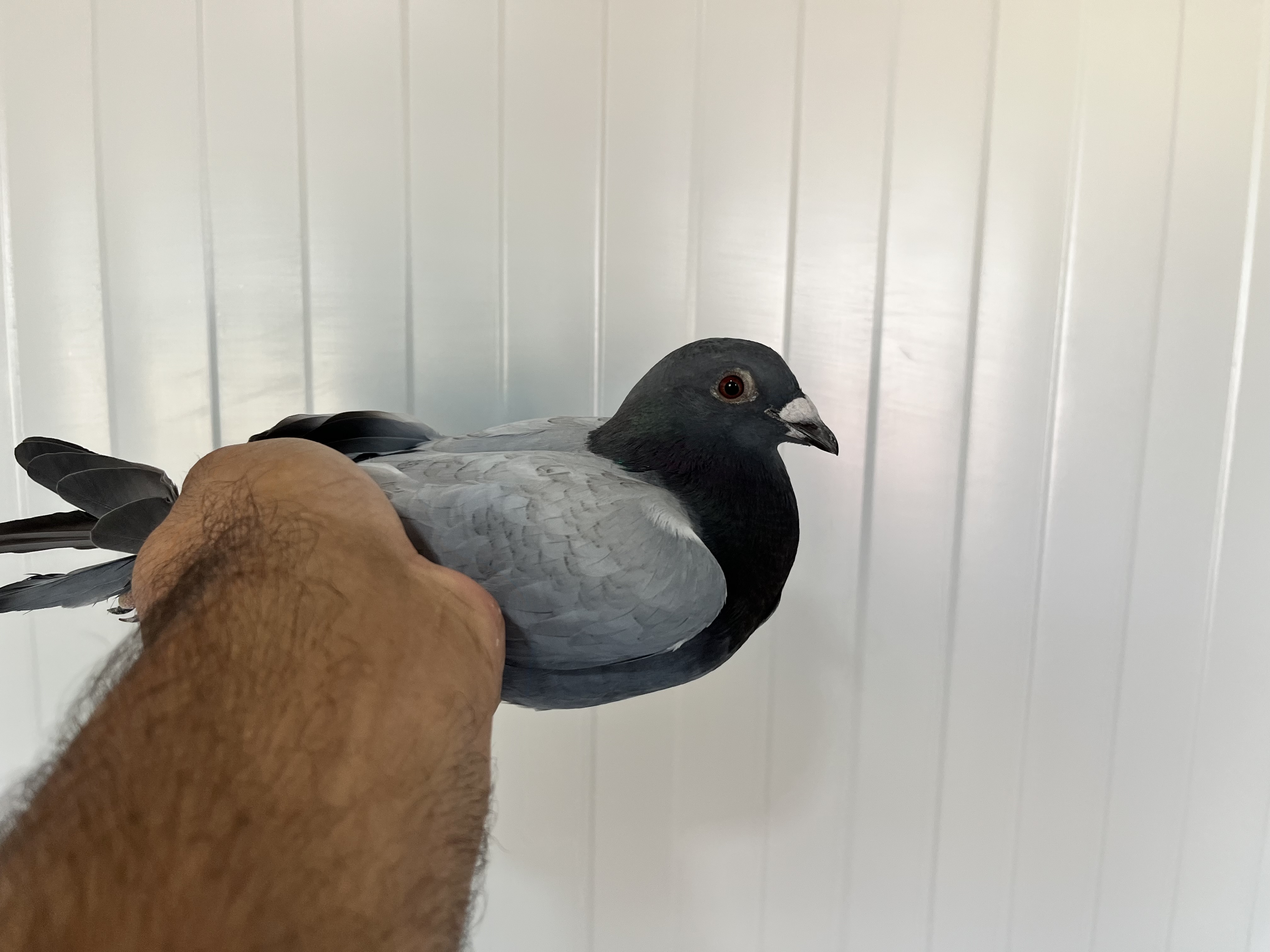 TR-25-16-20330 ERKEK 