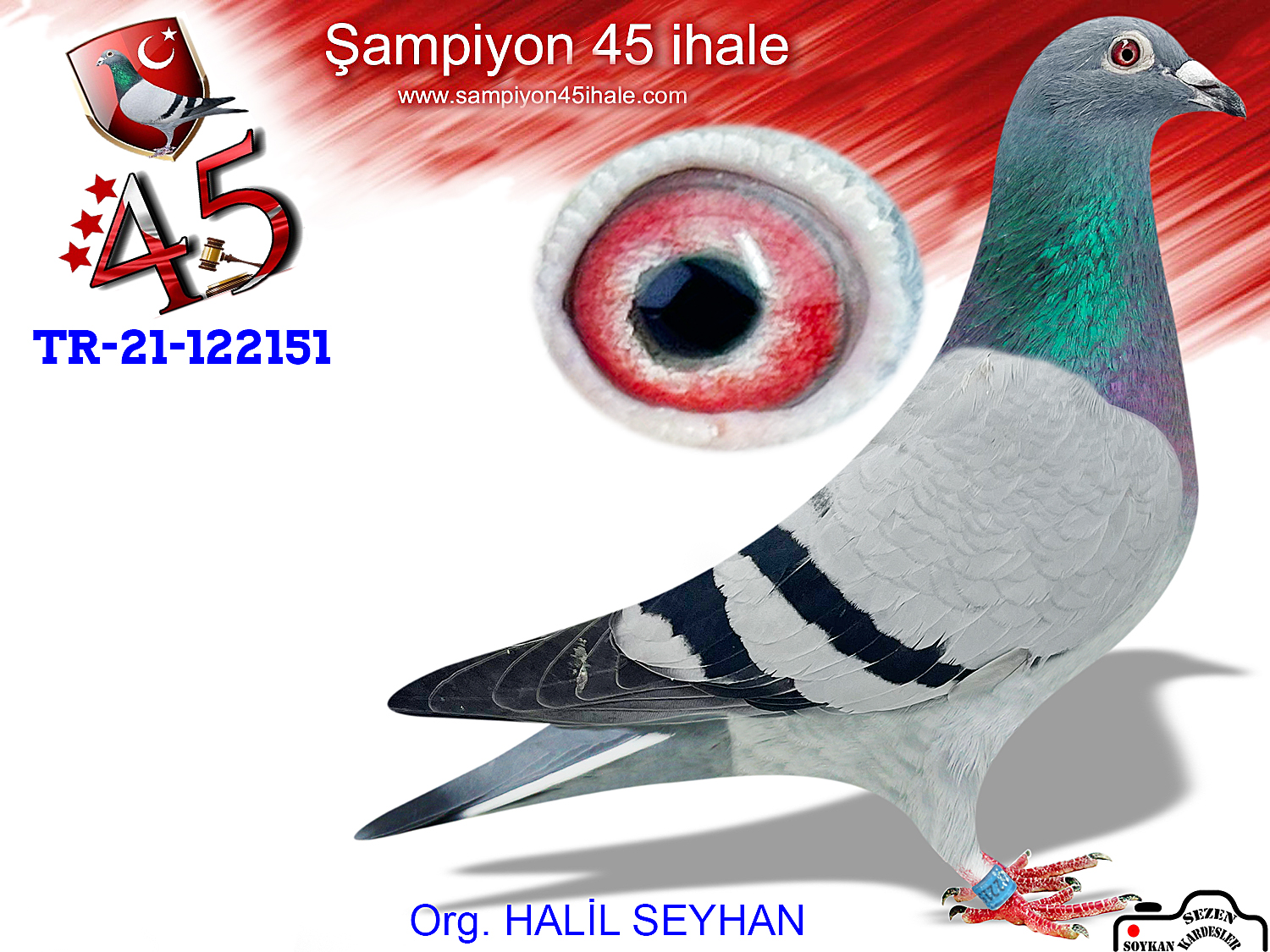 TR-21-122151 ERKEK 