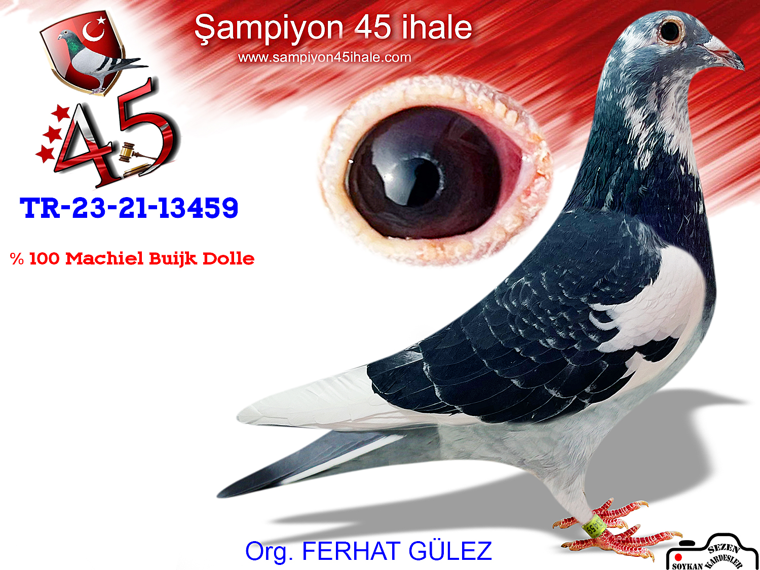TR-23-21-13459 DİŞİ
