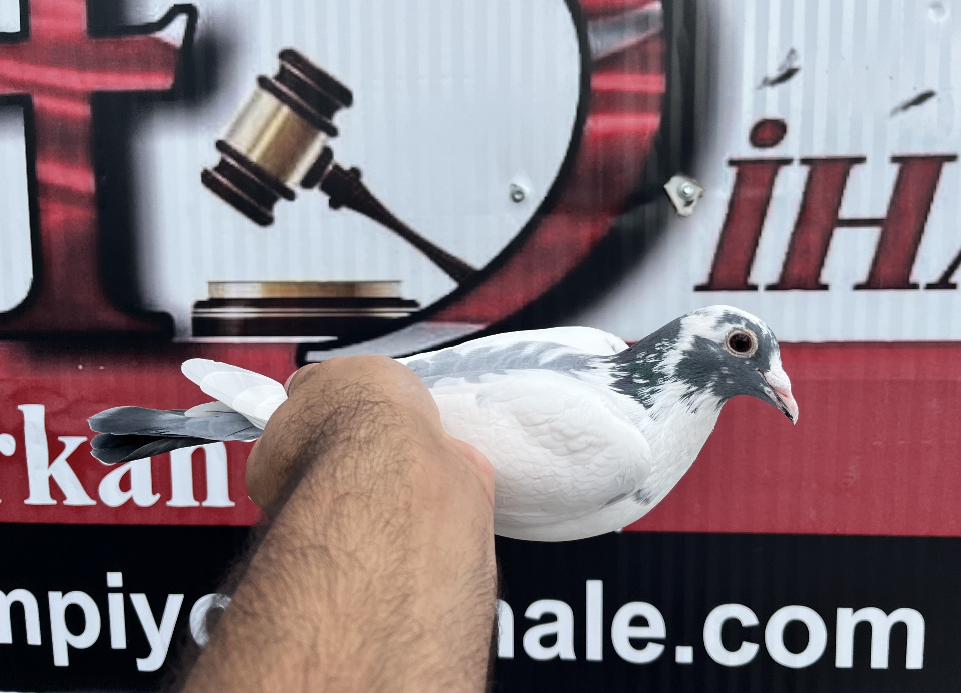 TR-25-16-20478 ORG SEZEN KARDEŞLER LUDO CLASENS ROMARİO 