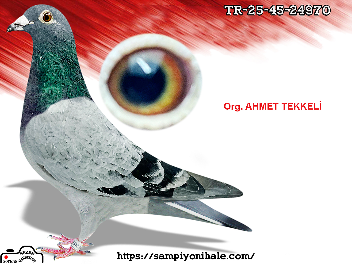 TR-25-45-24970 ORG AHMET TEKKELİ 