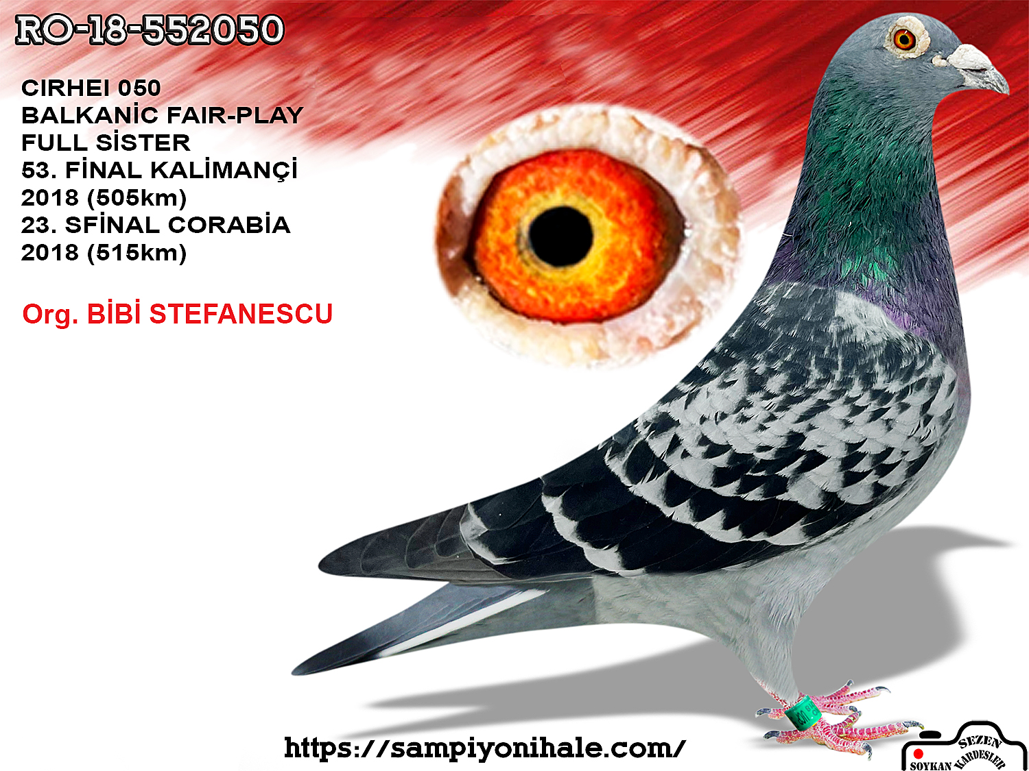 RO-18-552050 CIRHEI 050