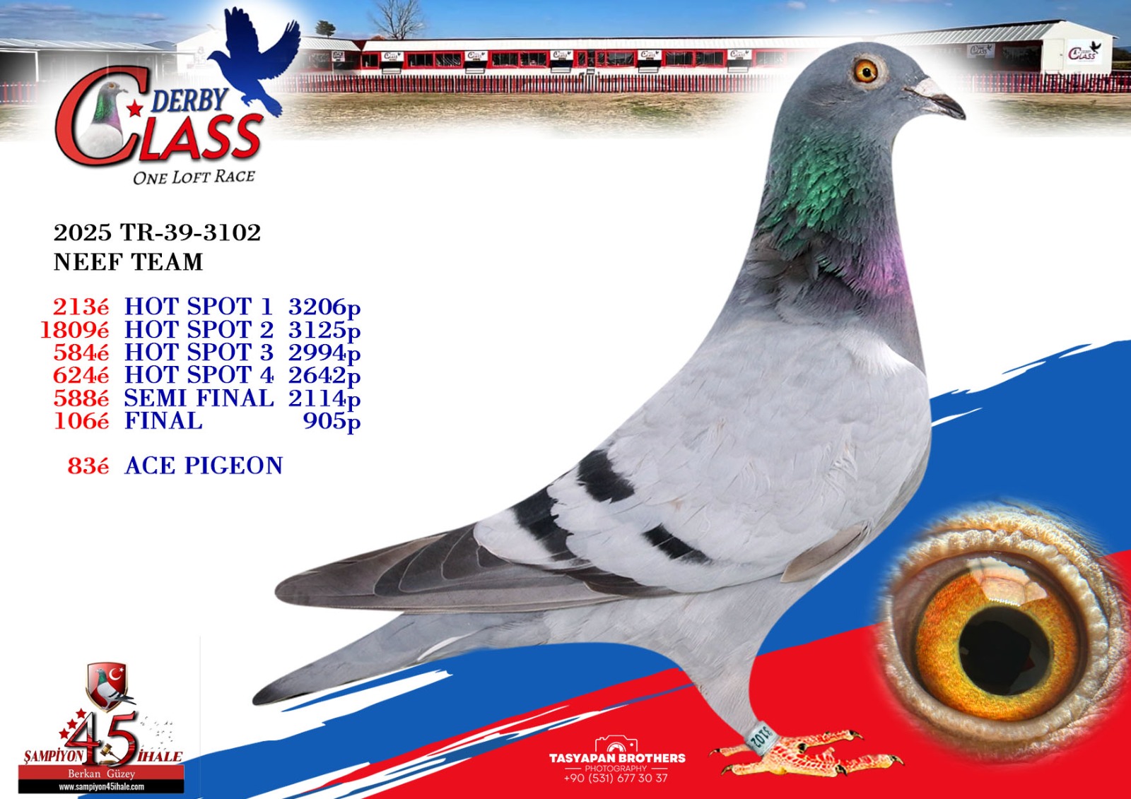 TR-39-3102 NEEF TEAM