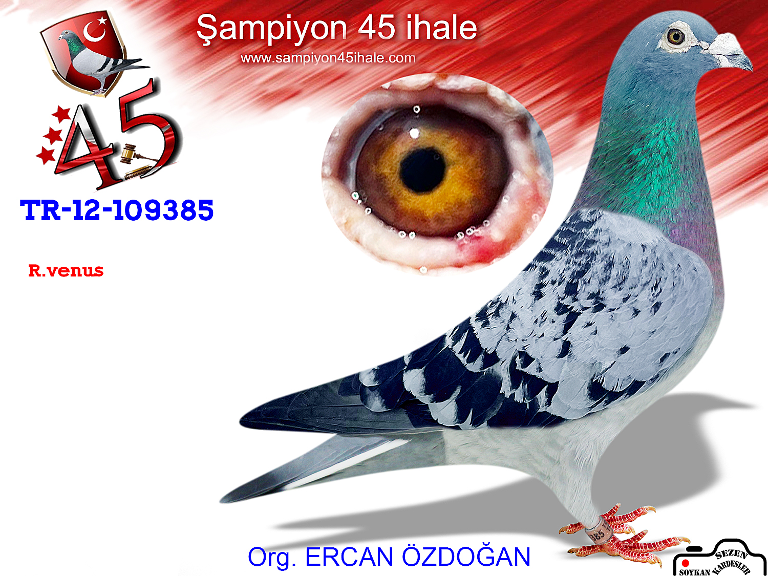 TR-12-109385 ERKEK 