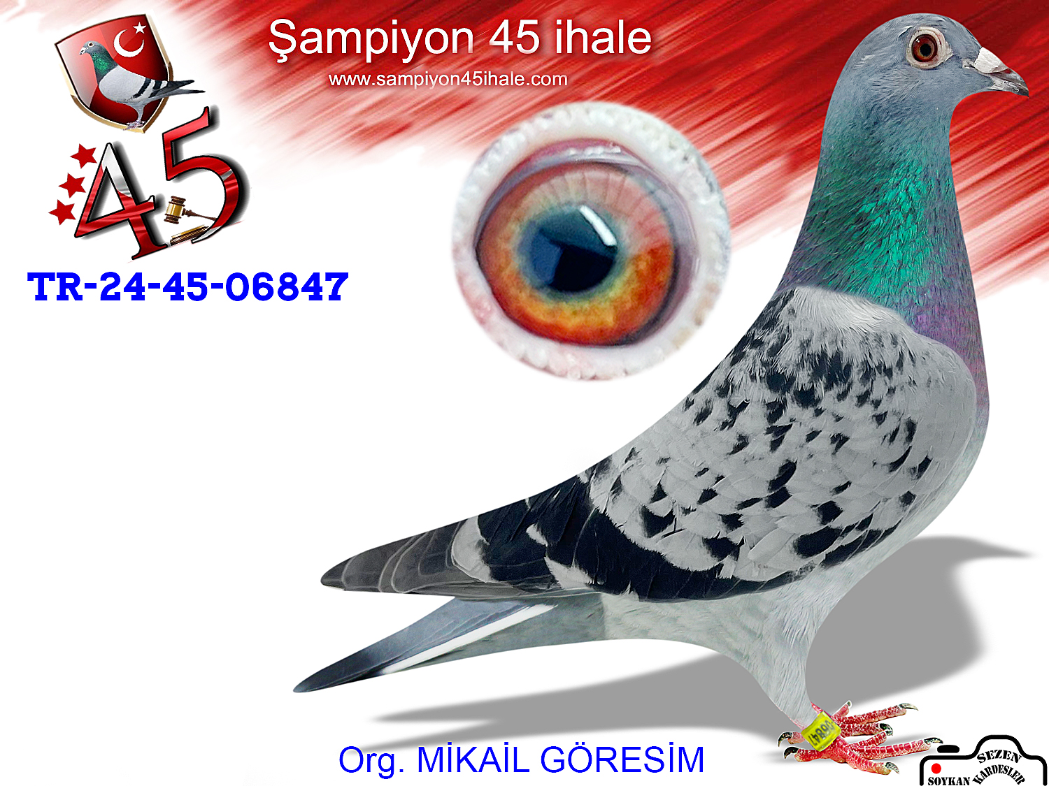 TR-24-45-06847 DİŞİ