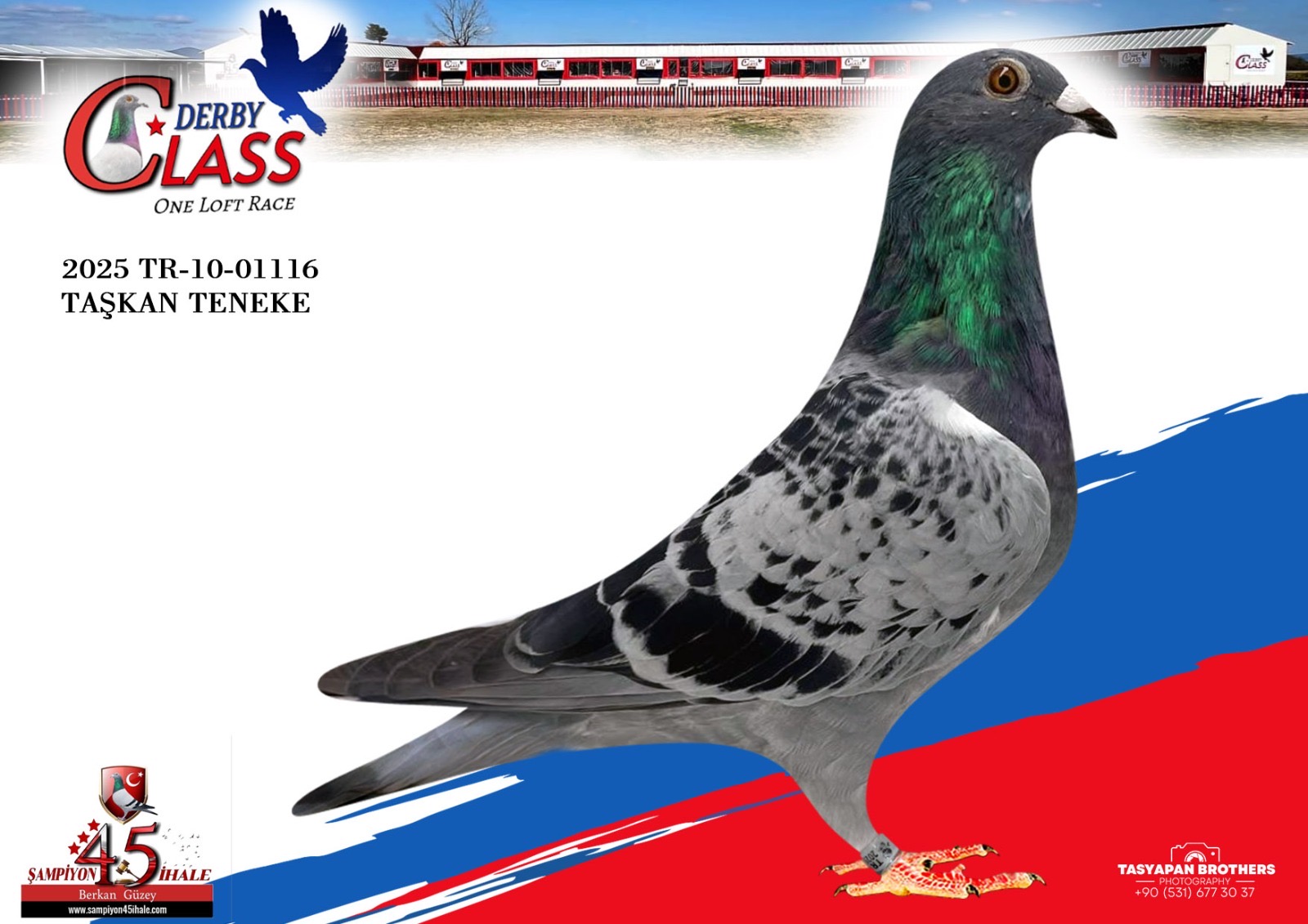 TR-10-01116 TAŞKAN TENEKE