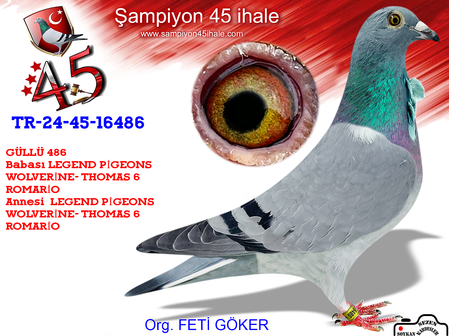 TR-24-45-16486 DİŞİ