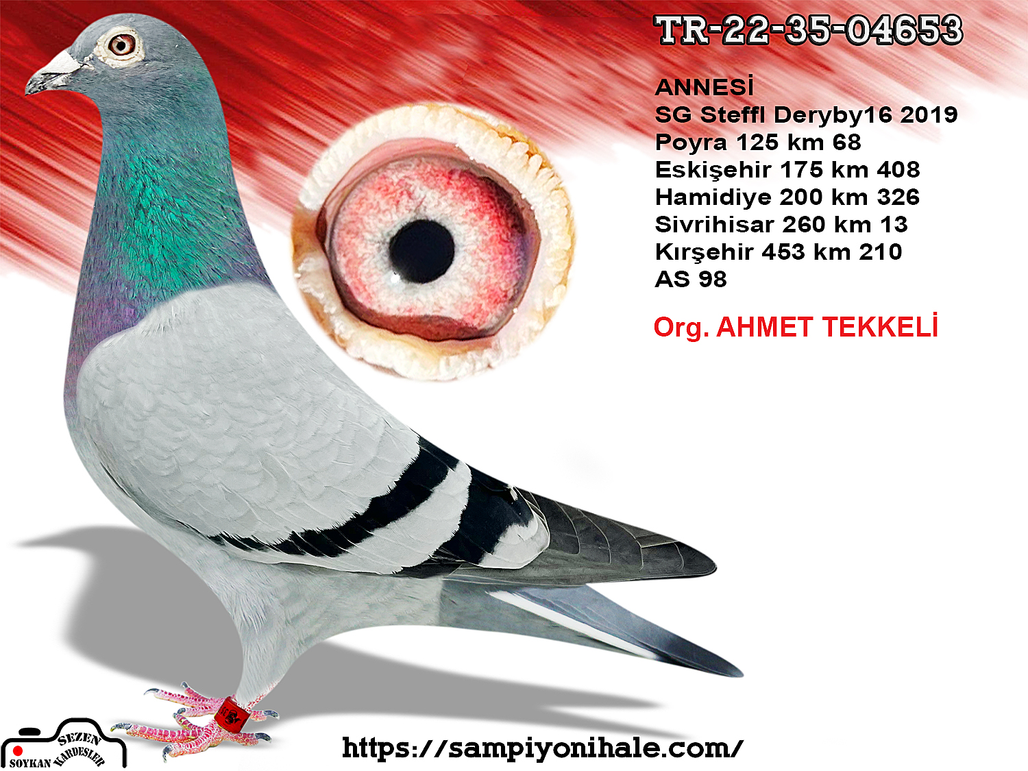 TR-22-35-04653 HARDY KRÜGER SG STEFFL