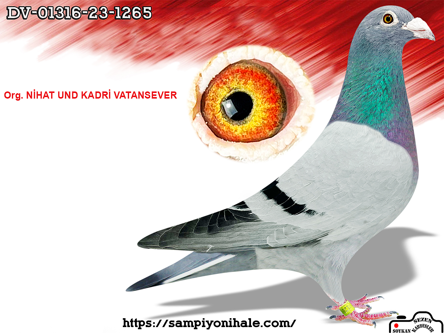 DV-01316-23-1265 ORG NİHAT UND KADRİ VATANSEVER 