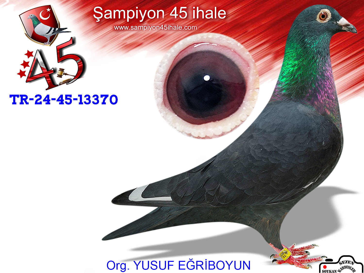 TR-24-45-13370 ERKEK 