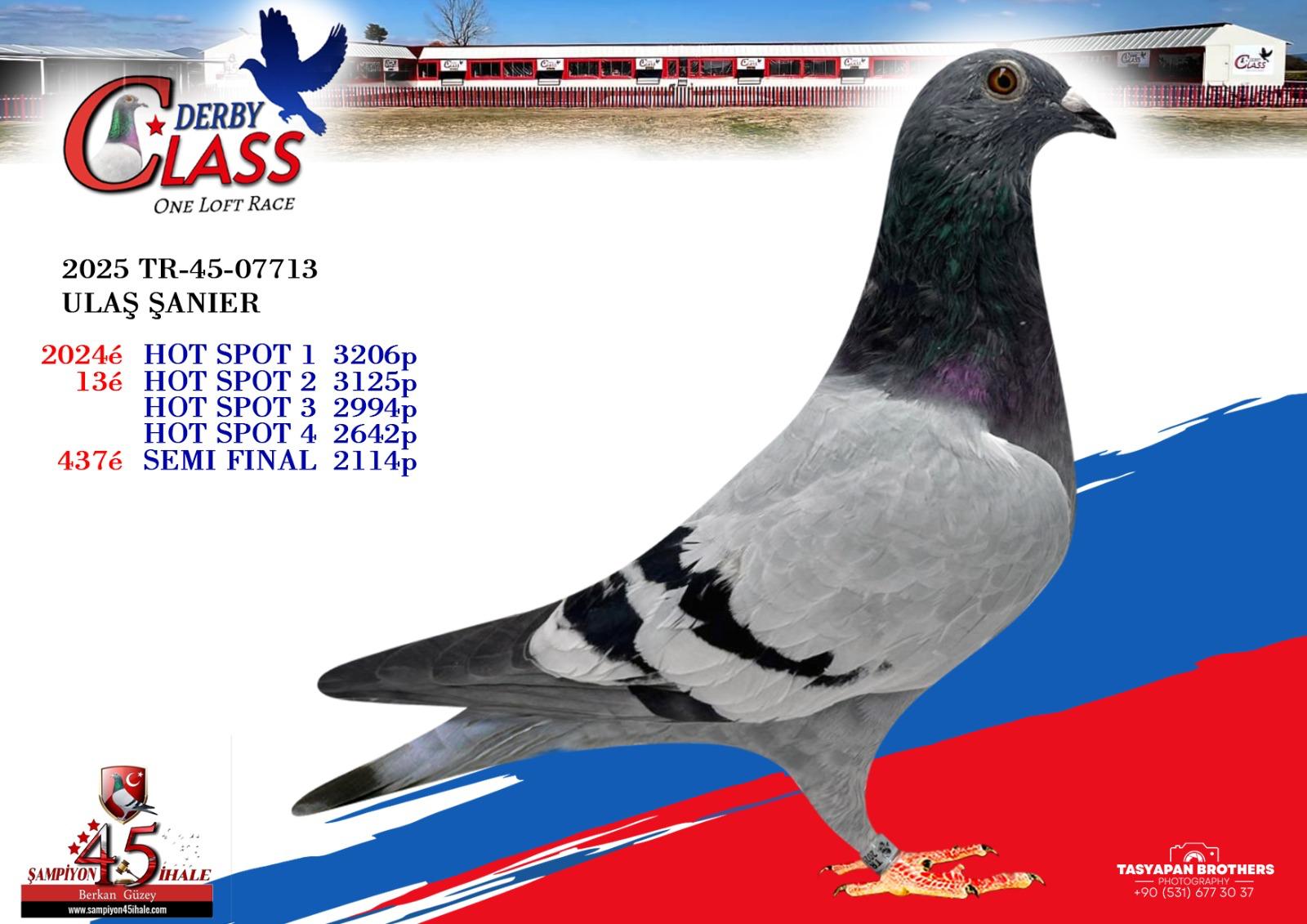 TR-45-07713 ULAŞ ŞANIER 