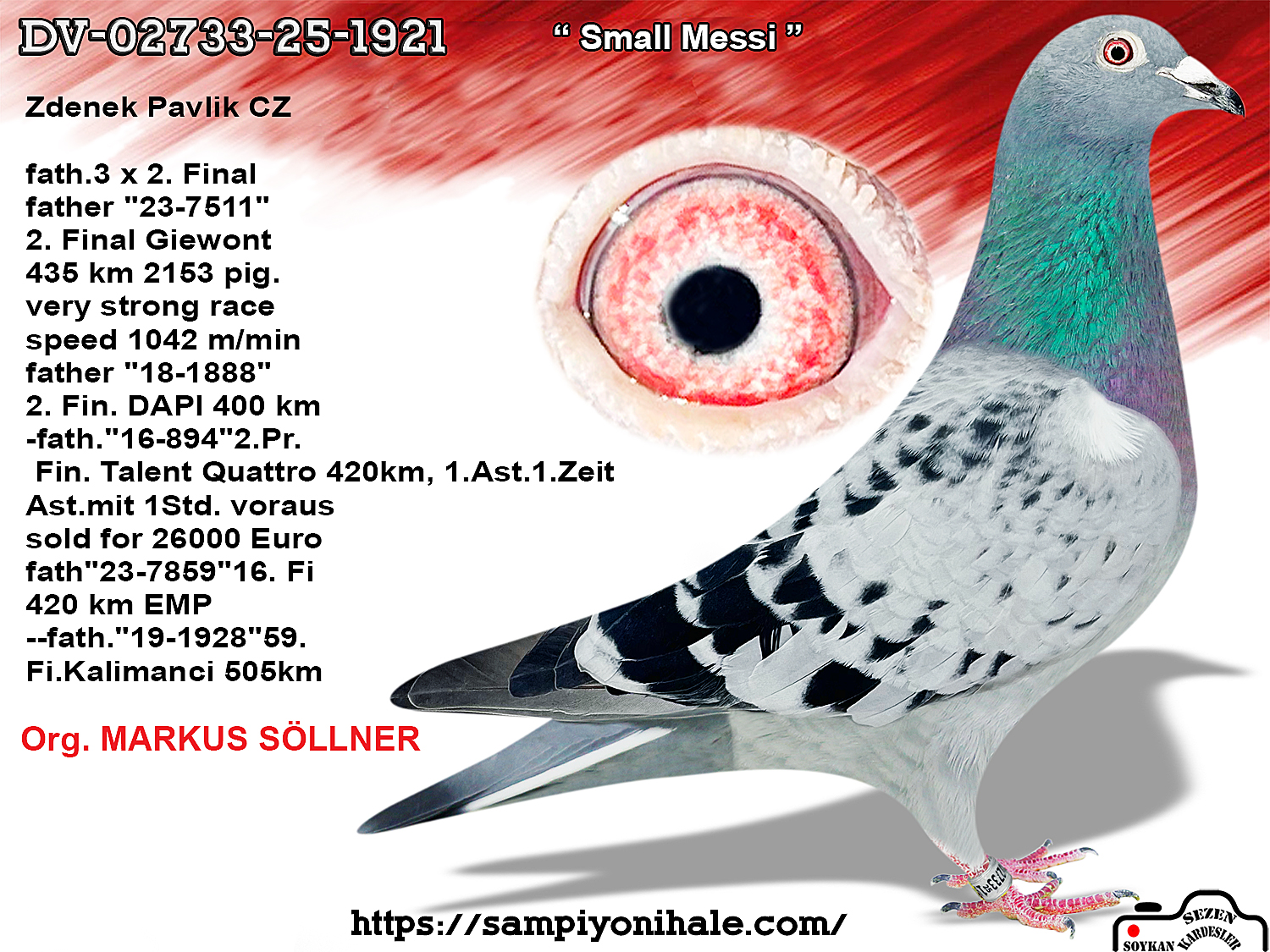 DV-02733-25-1921 MARKUS SÖLLNER 