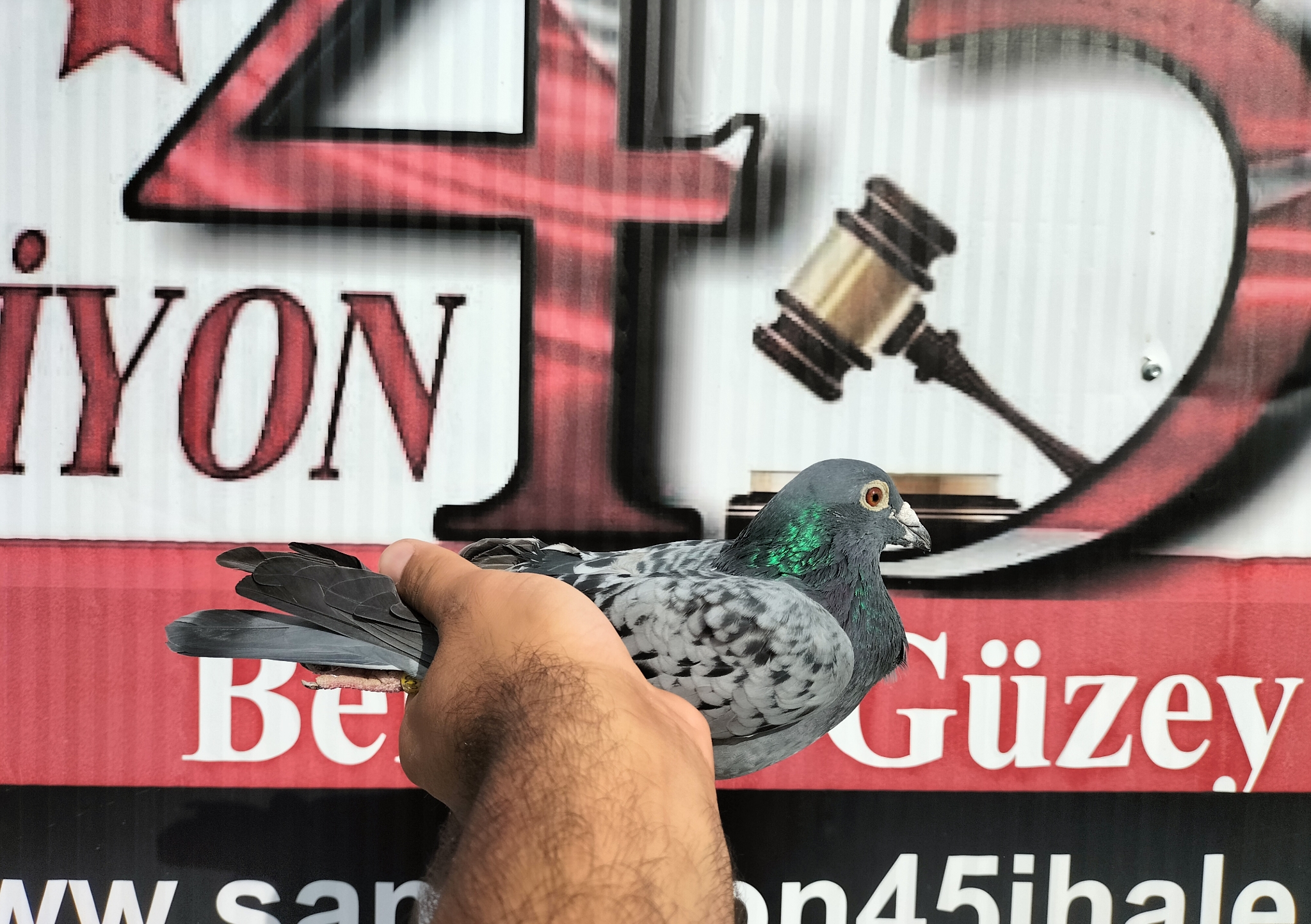 RO-19-7796 LUDO CLASENS ANDREİ MARİUS