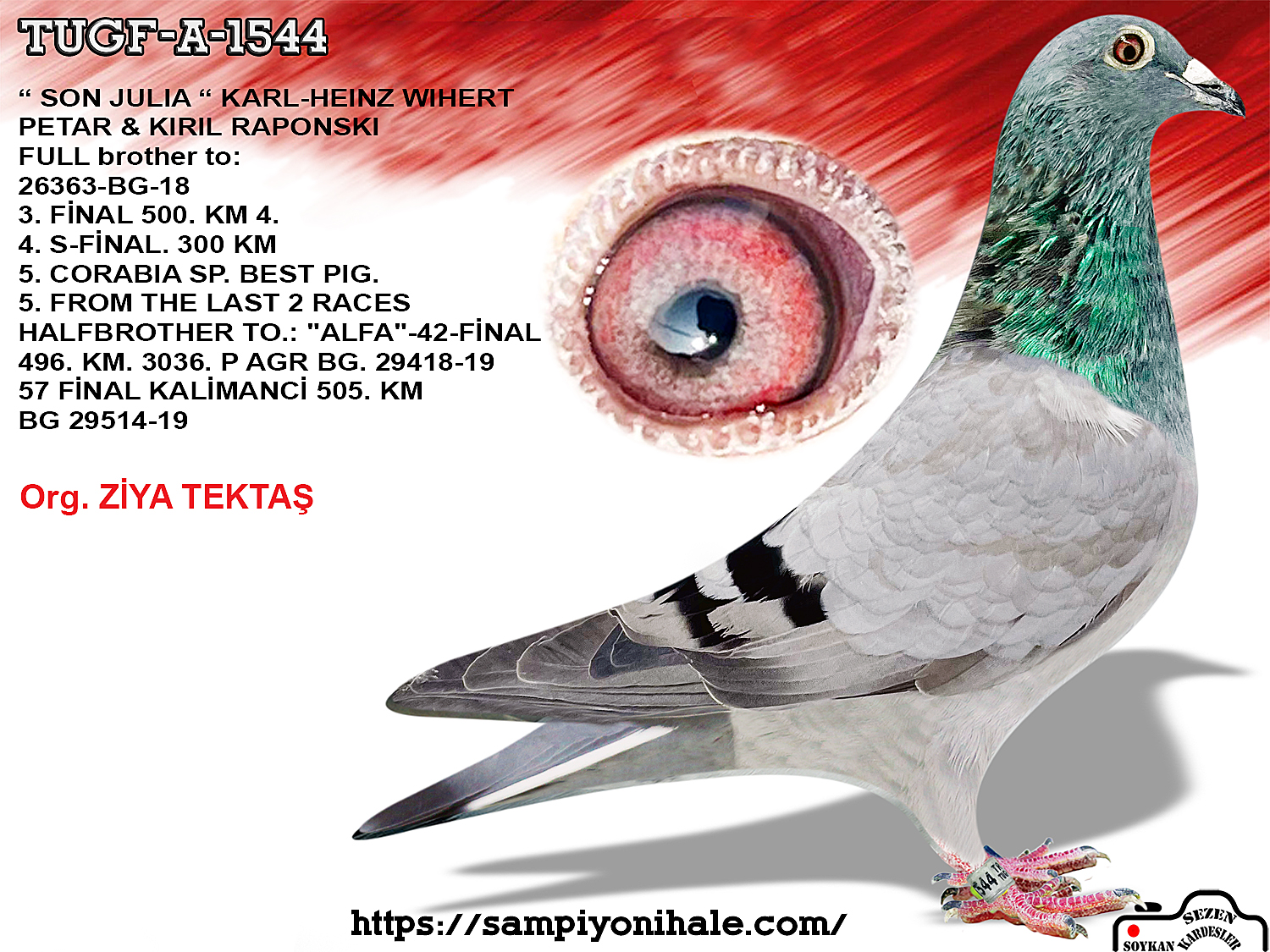 TUGF-25-80-A-1544 PETAR & KIRILRAPONSK JULIA