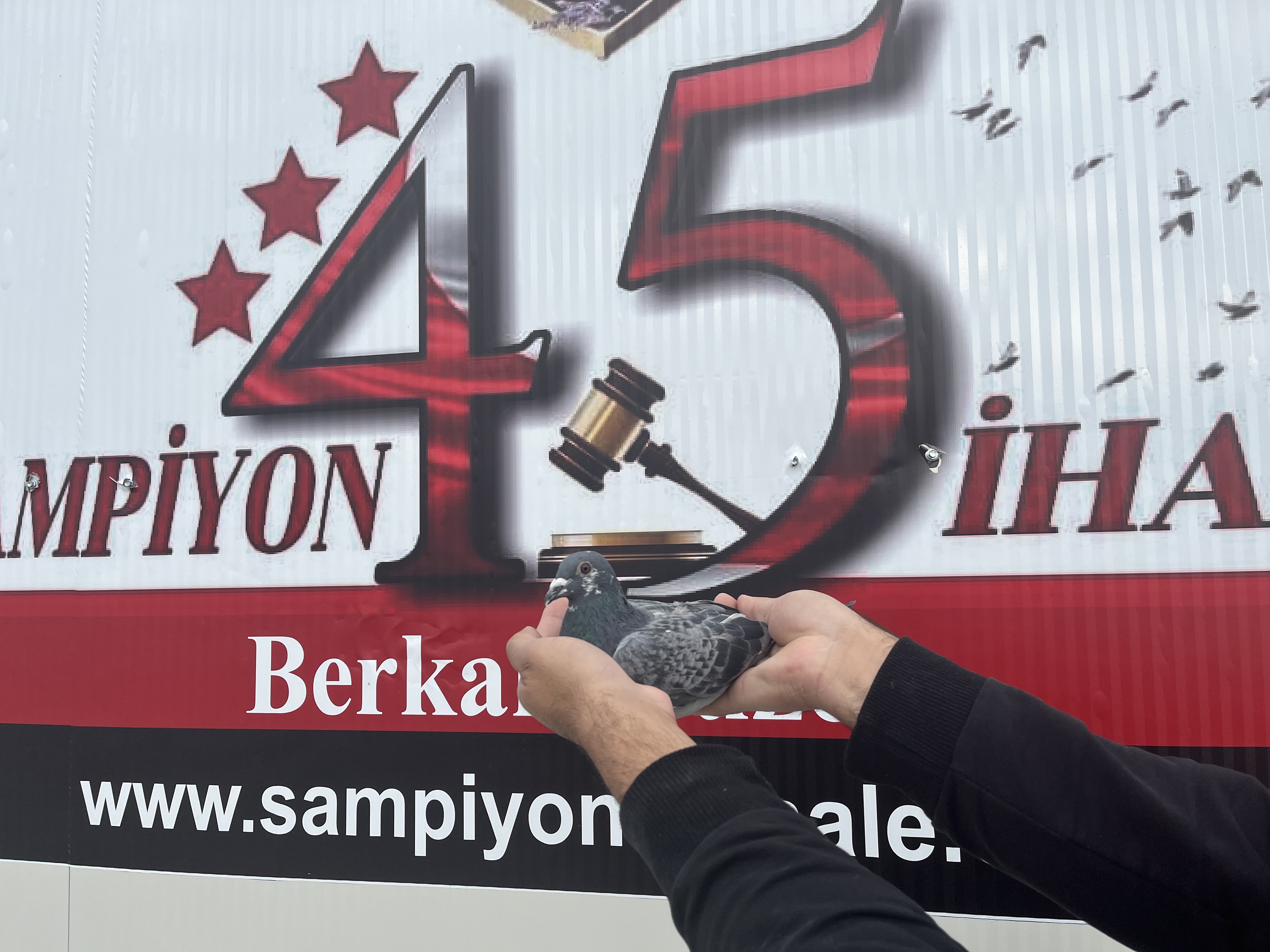 TR-24-45-11820 DİŞİ