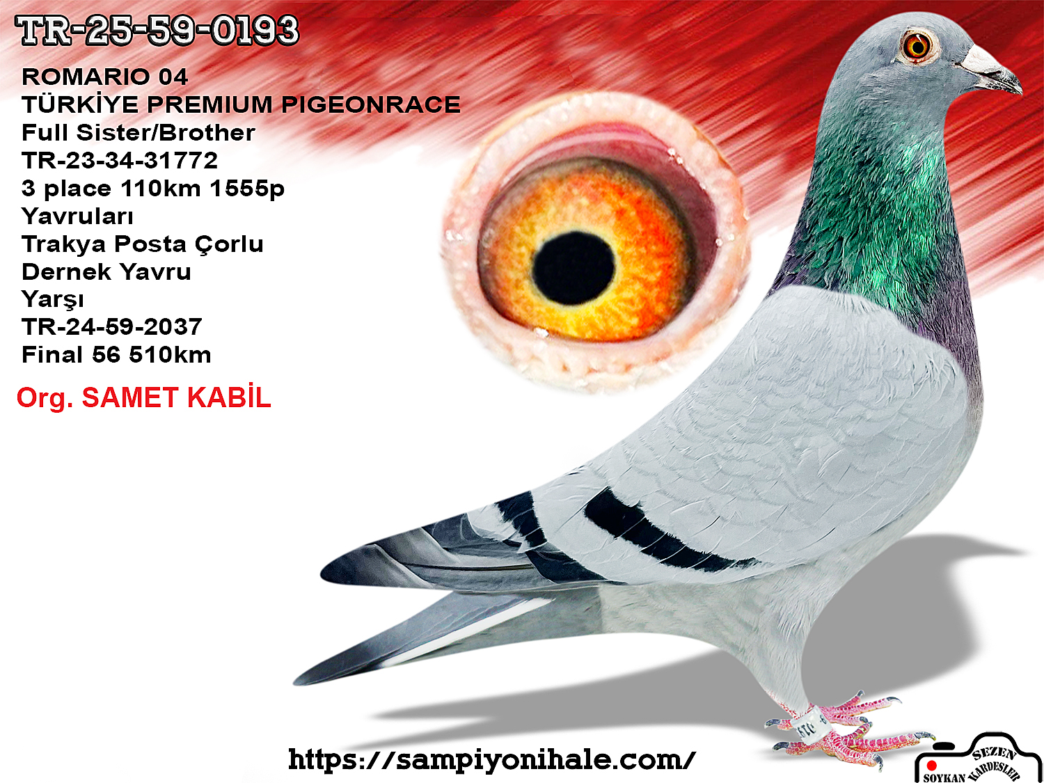 TR-25-59-0193 ROMARİO SG STEFFL GANUS FAMİLY LOFT 