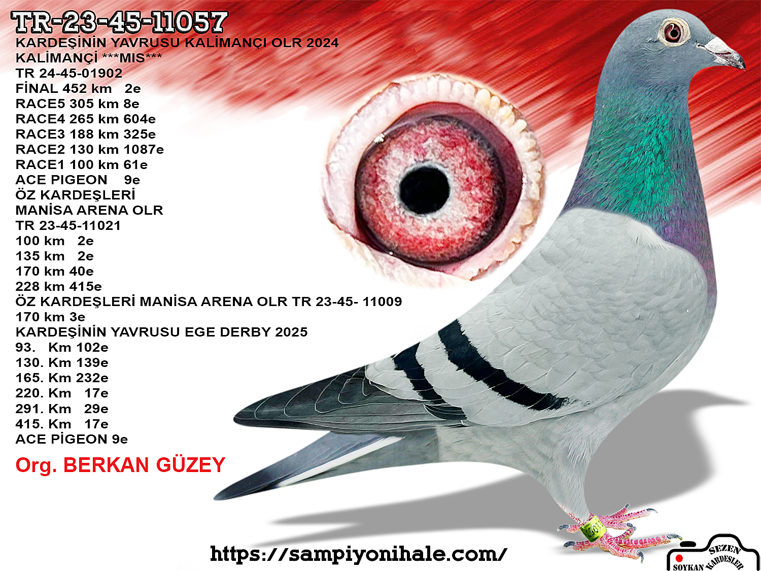 TR-23-45-11057 HURRİCAN 51 MİS KALİMANÇİ 
