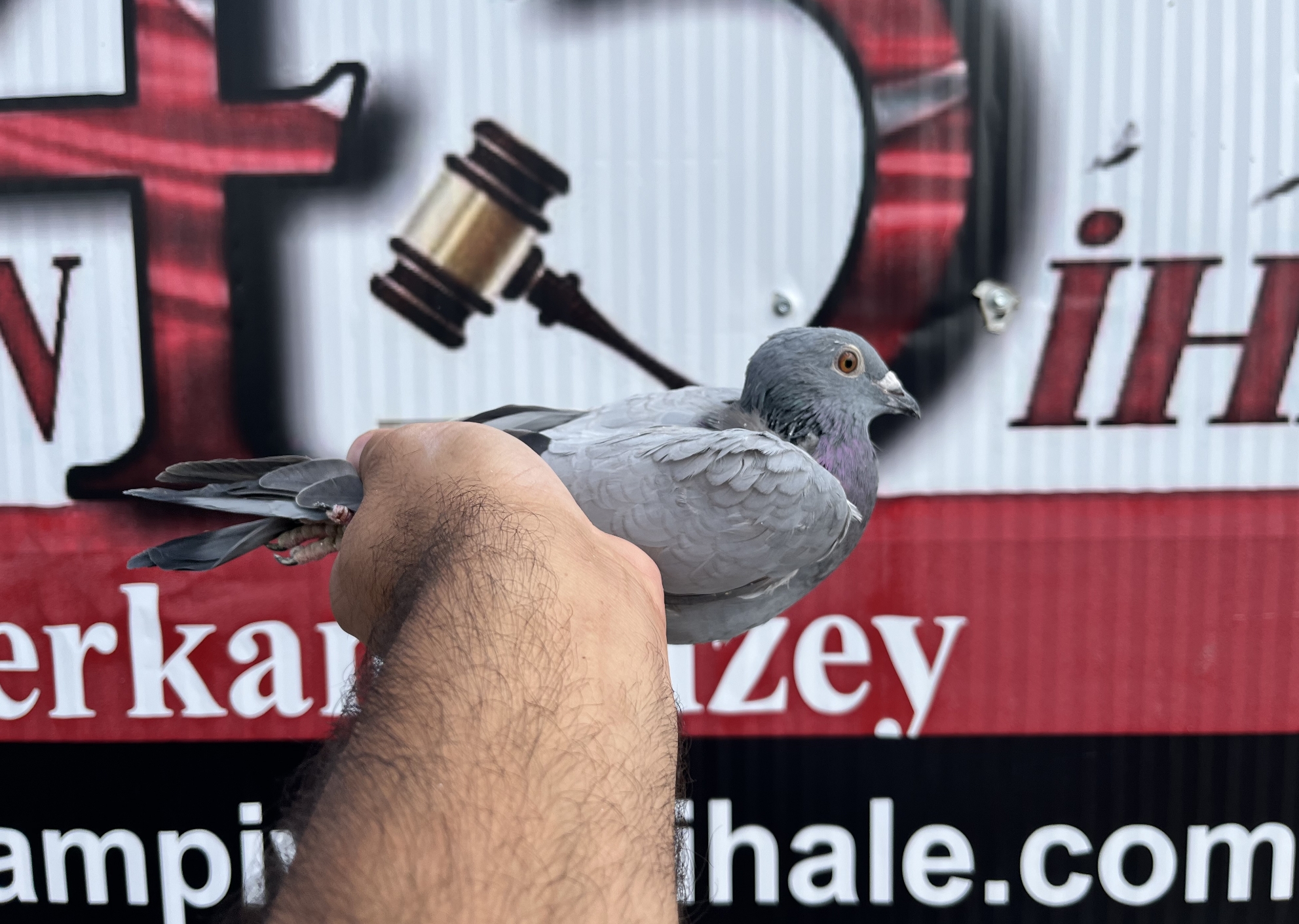 TR-25-45-34153 ORG YILMAZ KARDEŞLER 